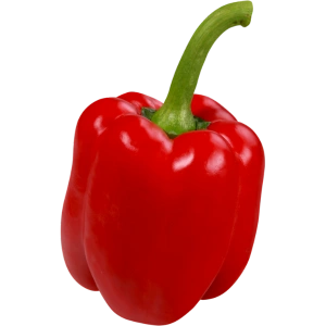 Bell Pepper