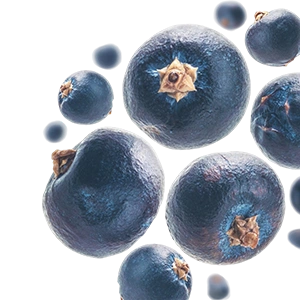 Juniper berries